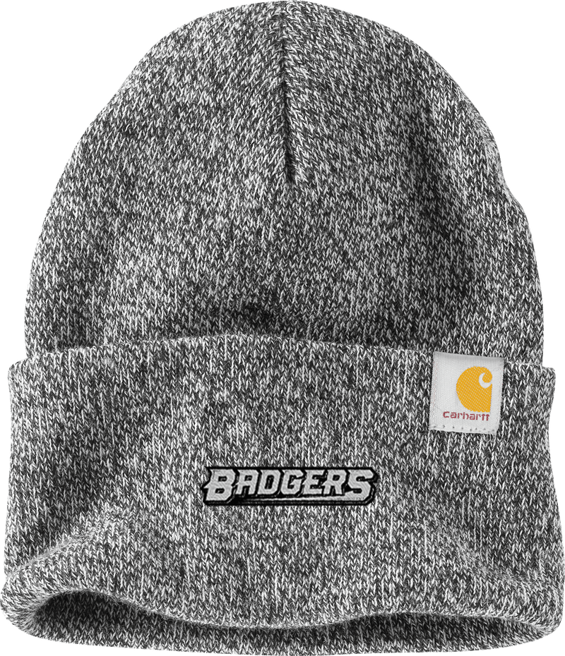 Allegheny Badgers Carhartt Watch Cap 2.0